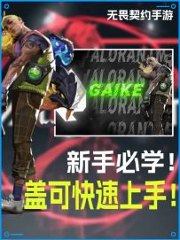 新手必学！ 盖可快速上手！