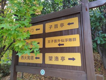 原来师尊你薨在我家门口˶⍤⃝˶꒳