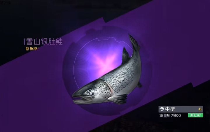 求购!!!雪山银肚鲑 救救孩子吧!!截图