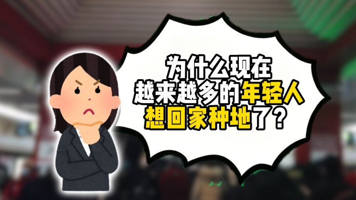 为什么现在越来越多的年轻人想回家种地了?截图