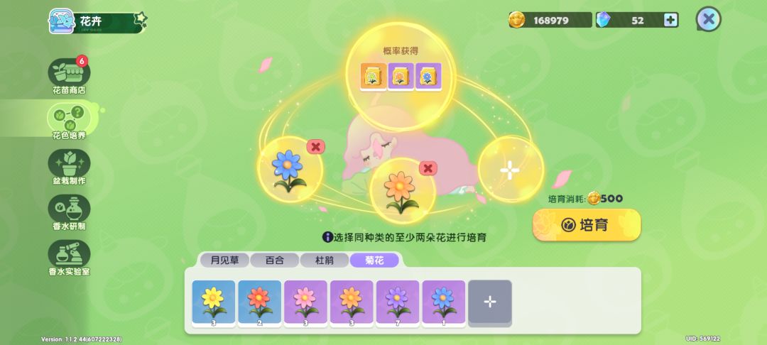【花卉培养攻略】菊花 稀有花色合成公式 2
