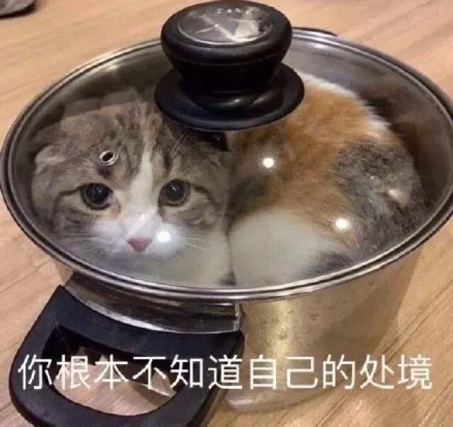 图还没跑完要关服了。截图