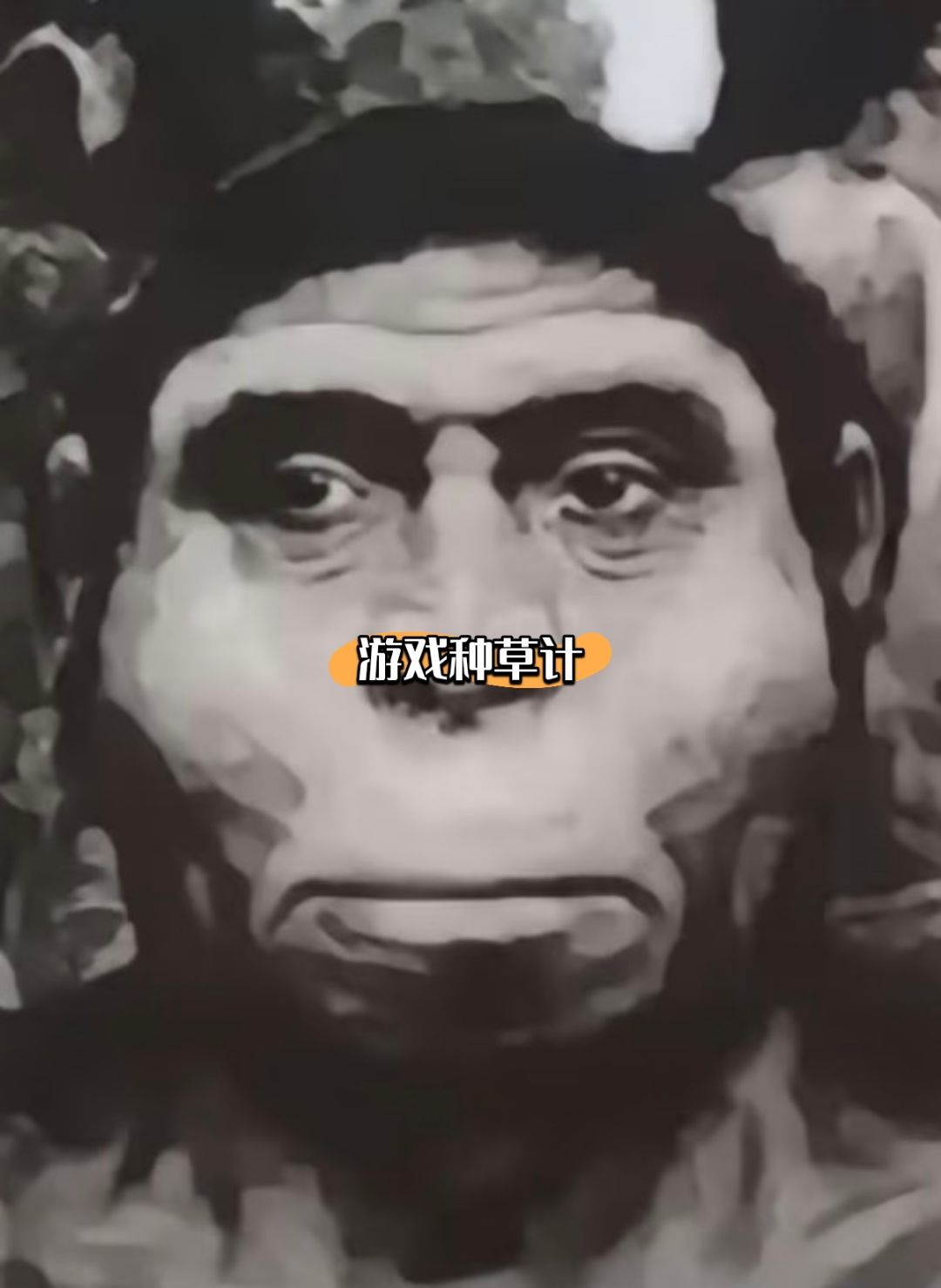 鱼 3