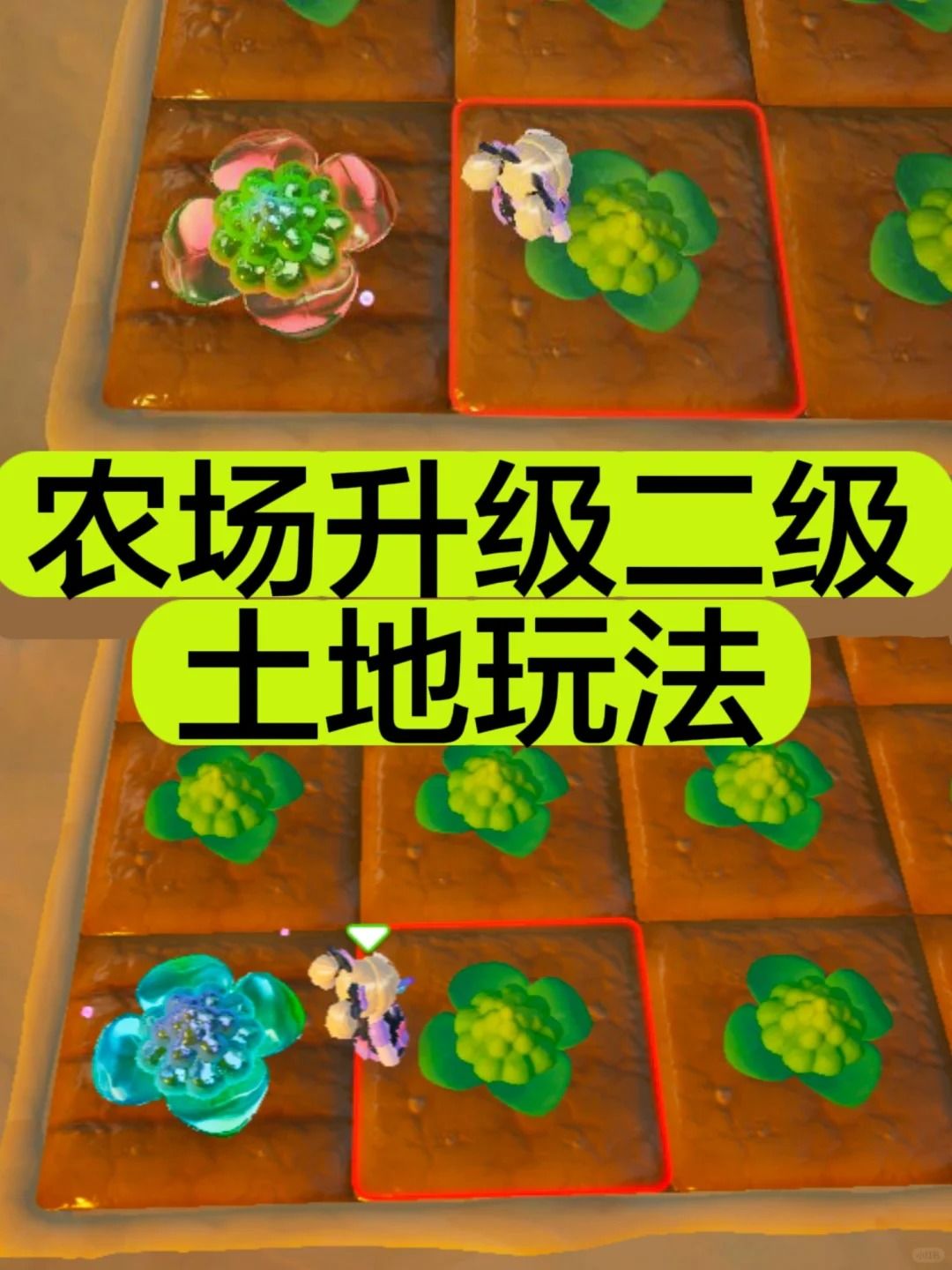 元梦农场75级升级二级土地‼️玩法详情来啦截图
