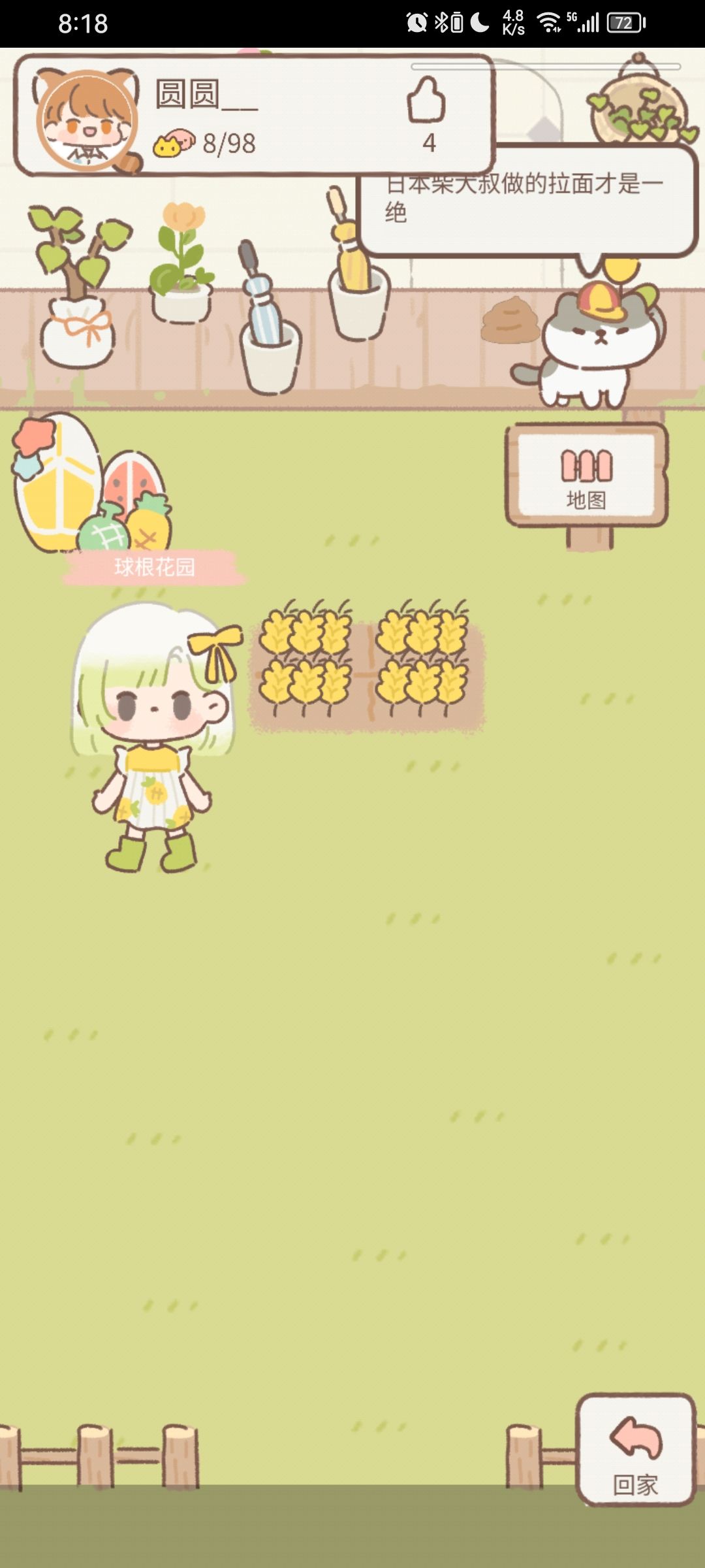 偷菜 2