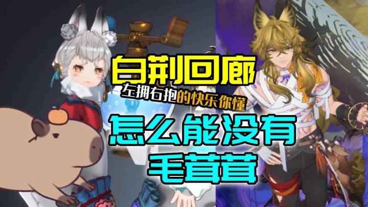 十万个必须抽温留的理由:怎么能不抽毛茸茸!【白荆回廊】截图
