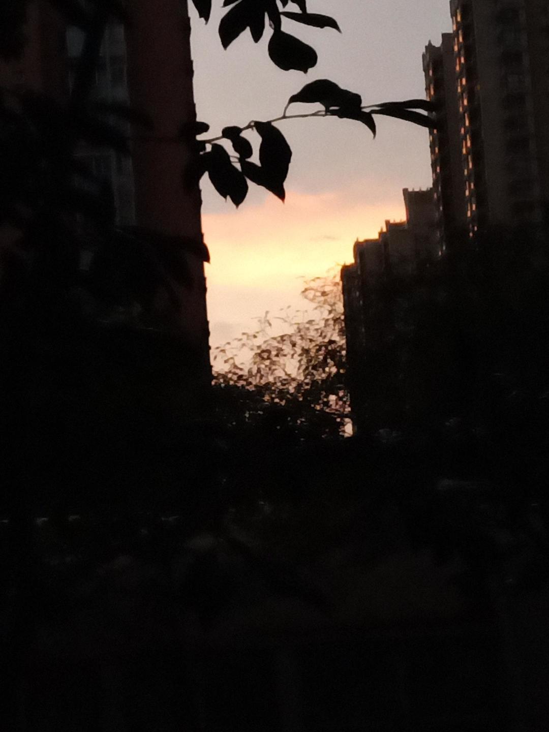动态图片 6