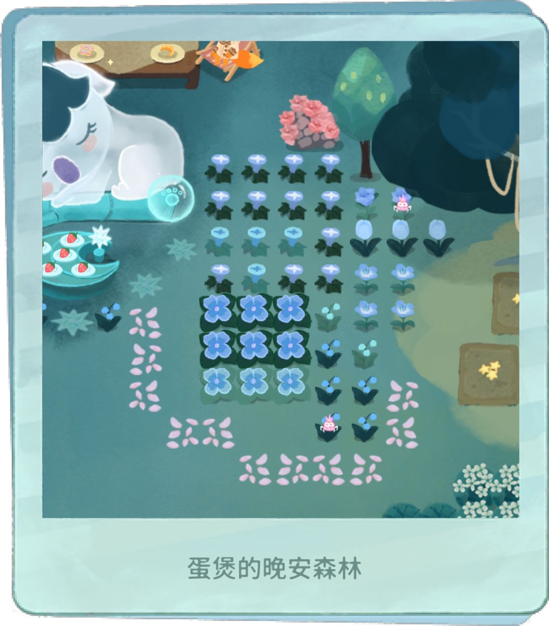 在线等,谁能告诉我这是什么小动物🧐 1