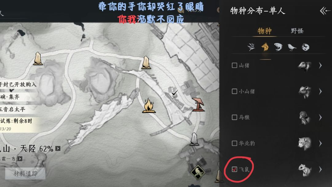 燕云的这个小飞鼠披肩也太可爱了吧! 4