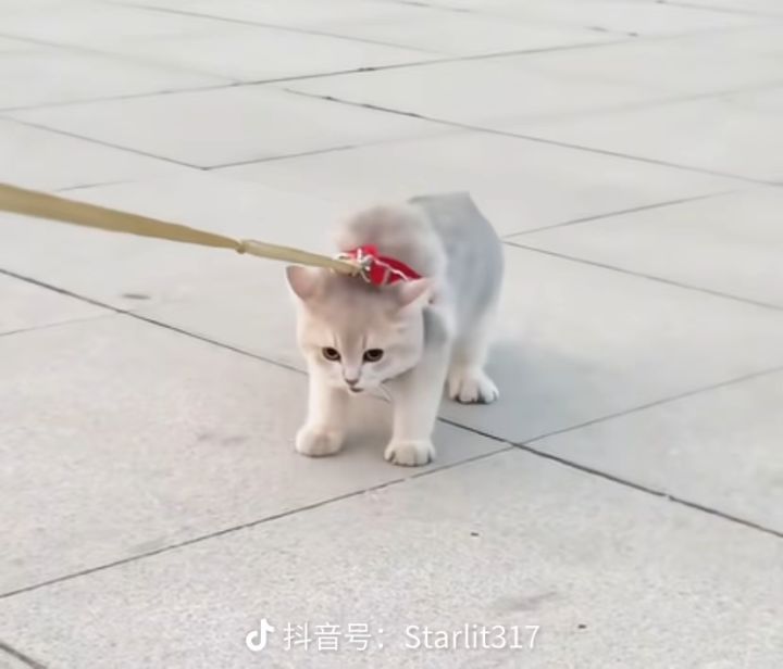 这游戏的离线收益就跟闹着玩儿一样截图