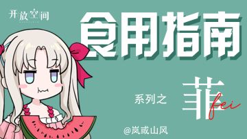 引导员【菲】的正确食用指南