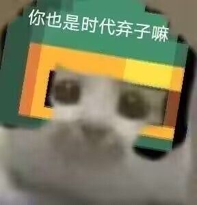 每日一问,什么时候加强忍者?(827)截图