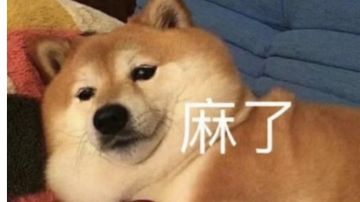 暖雪究极坐牢挑战