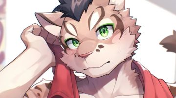 〔治国之道〕沙漠王国篇（非）速刷攻略