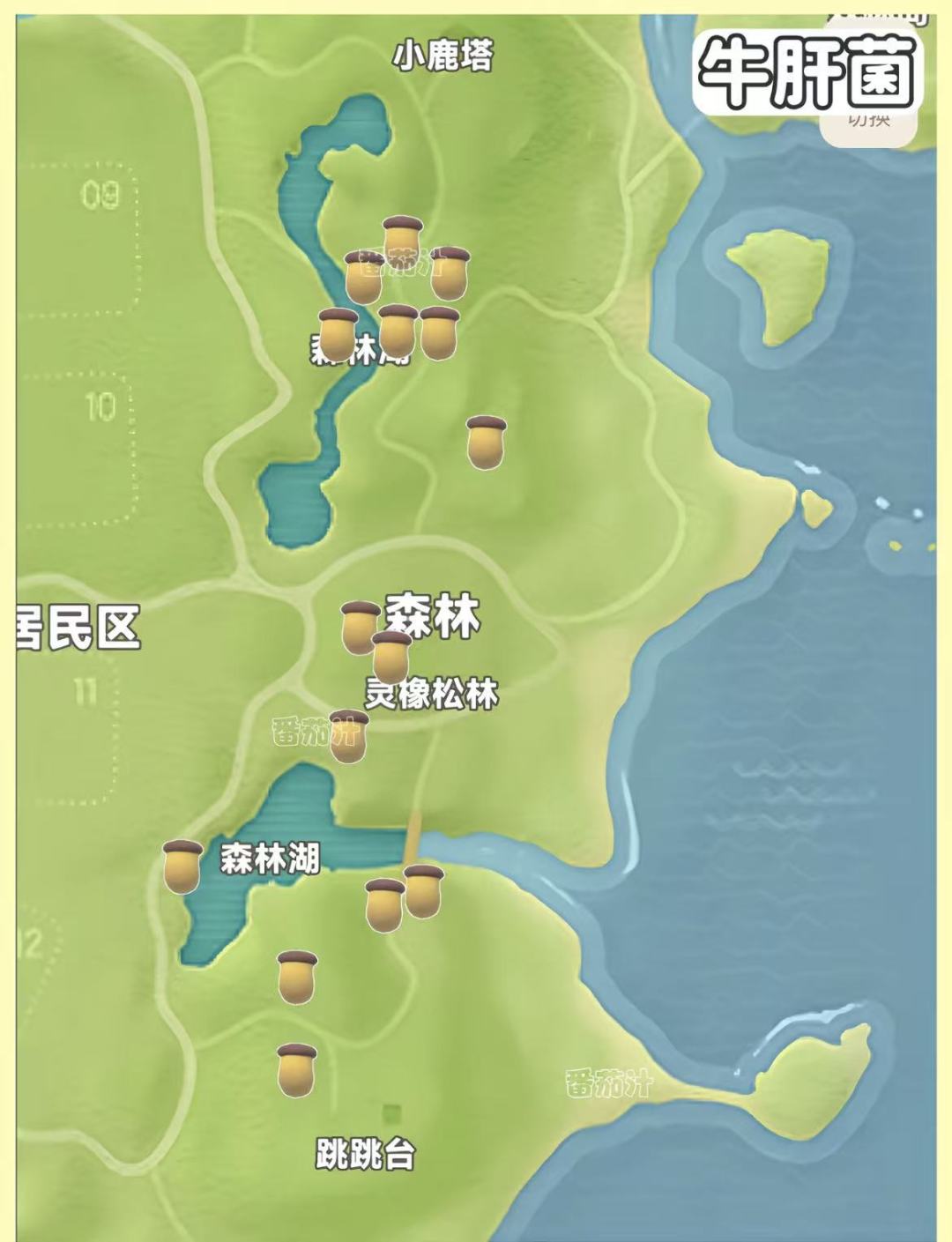 你们都采蘑菇了嘛 5