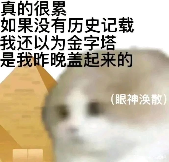 求问三套阵容选哪个呢截图