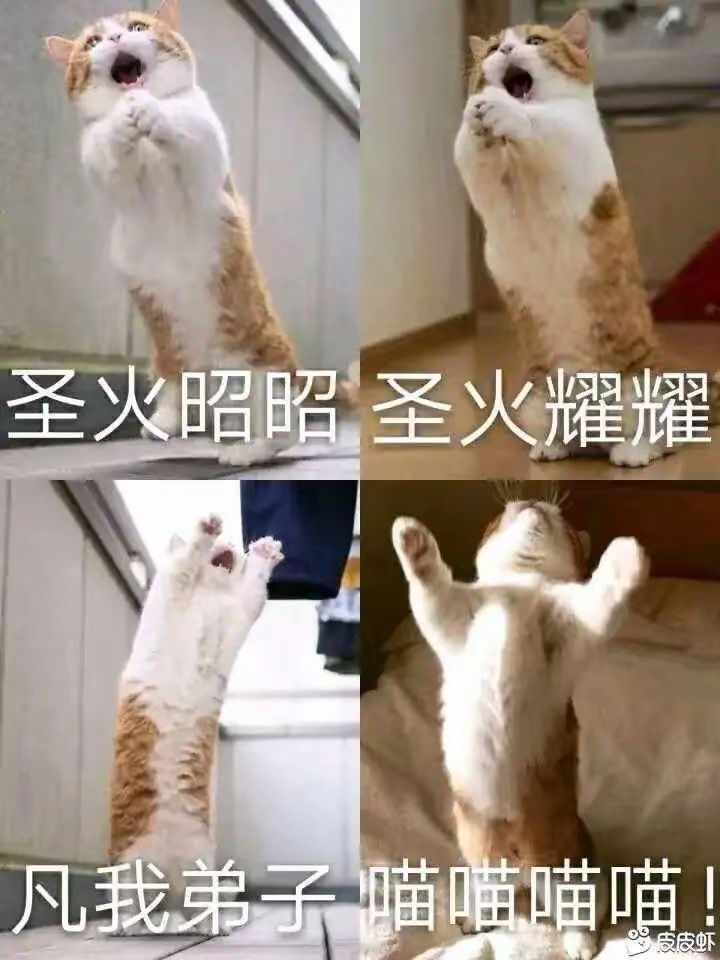 看看龙王李靖披挂截图