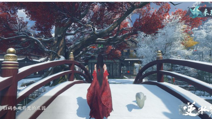 “除了雪,还是雪.”截图