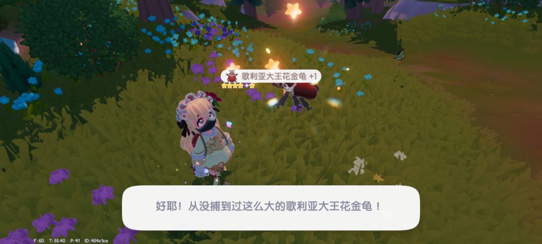 歌利亚大王花金龟毕业 1