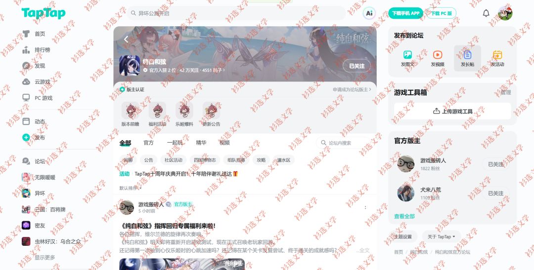 纯白和弦 2