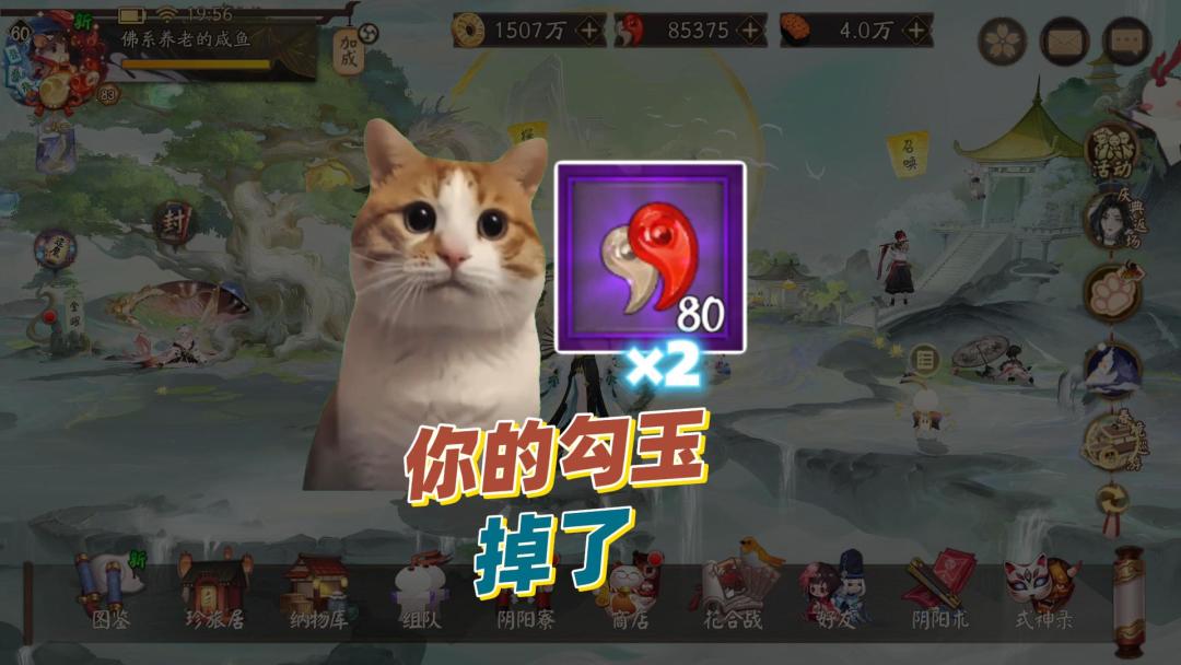 video-5663332