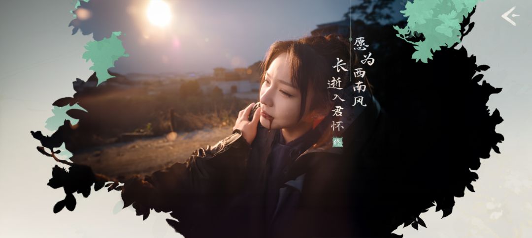 动态图片 4