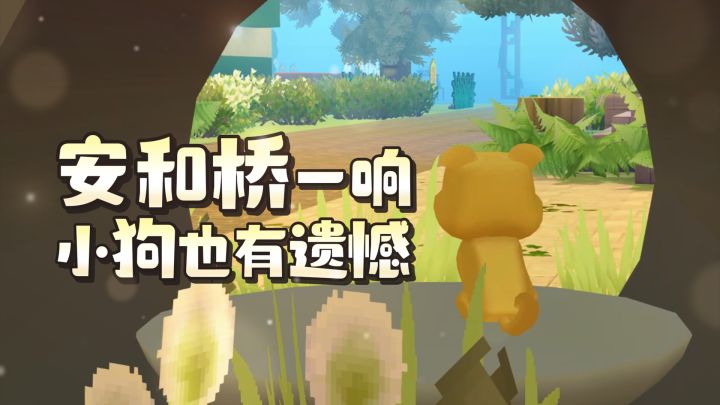 遇见你的那天,小狗的世界有了光截图