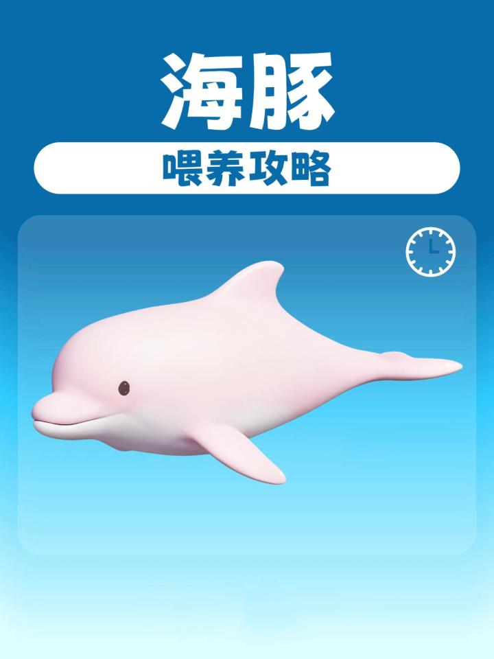 新增海豚喂养攻略截图
