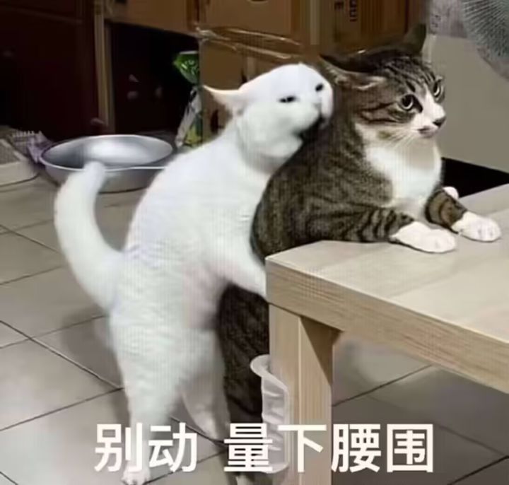 收萌新或者回归的,群里人少好聊截图