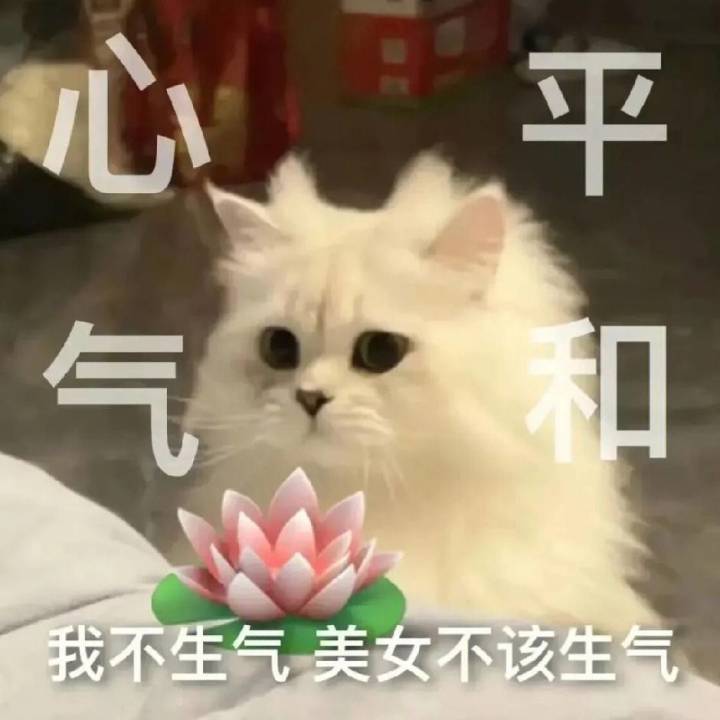 求无期迷途新瓜截图