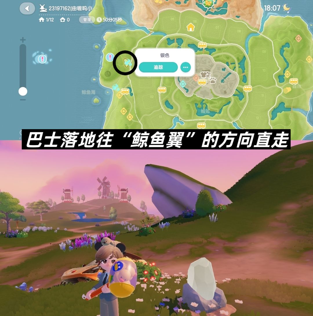 8.16流星雨花田月下朵朵 2