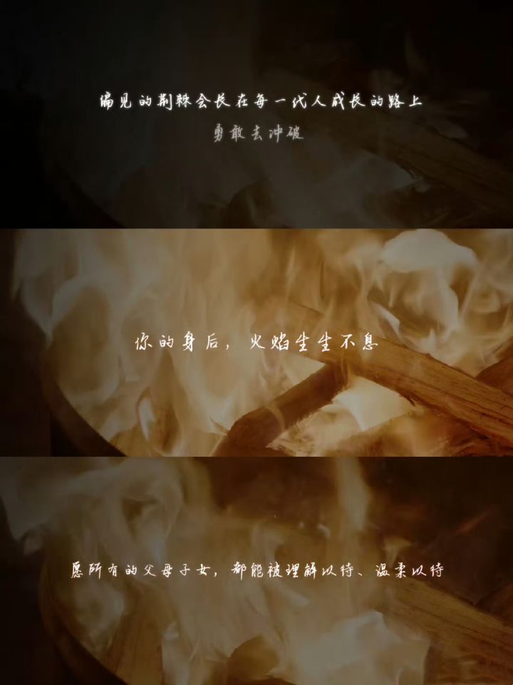你的身后,火焰生生不息截图