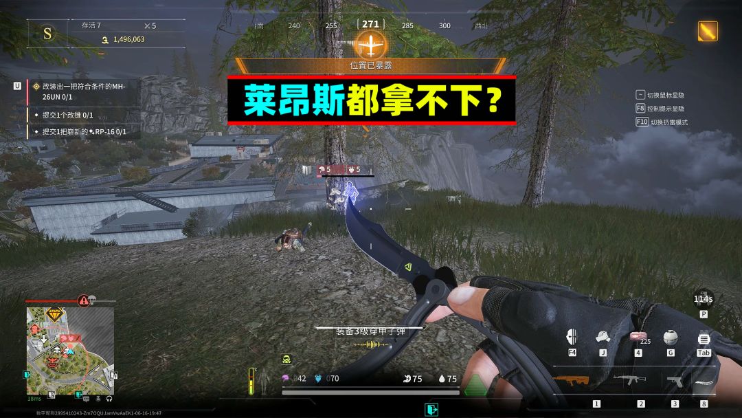 video-4179756