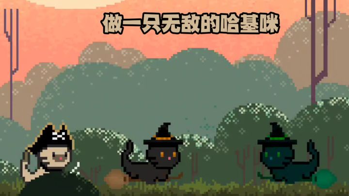 你这个级别的哈基咪没有资格哈我截图