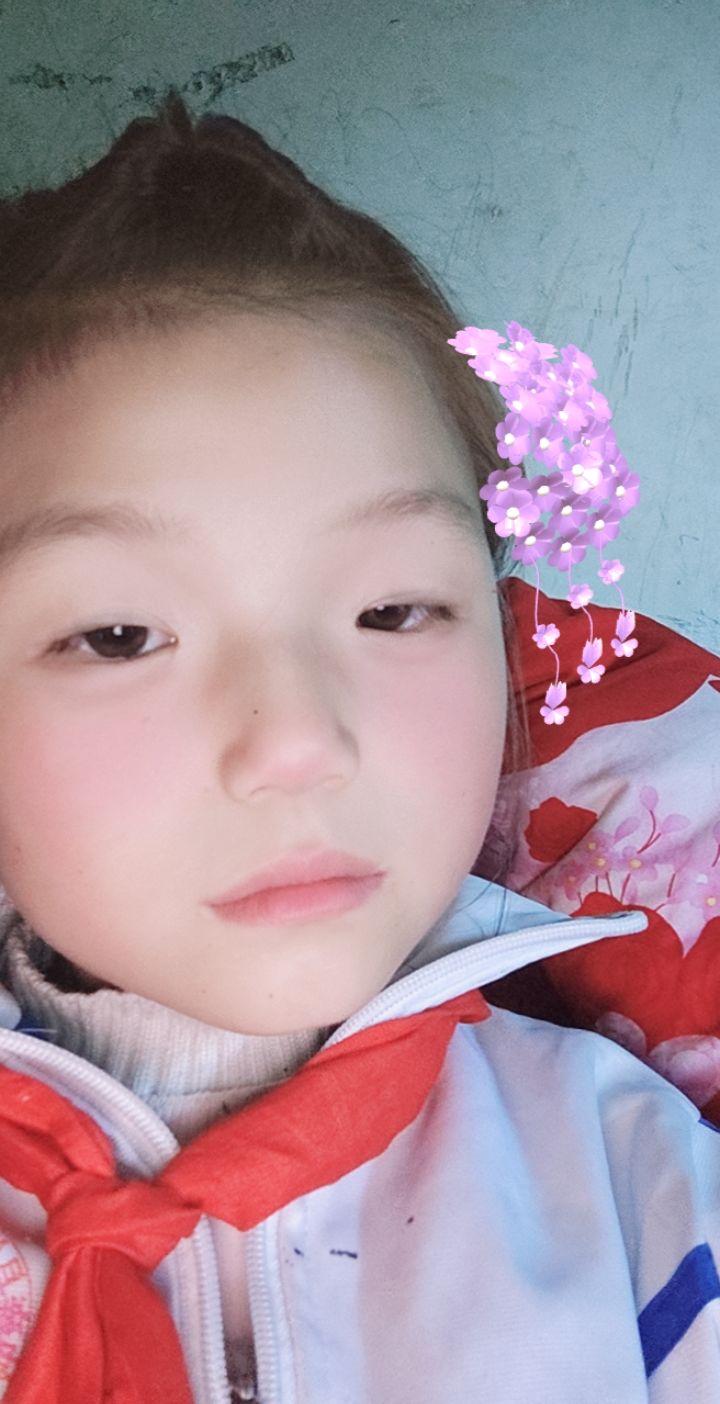 动态图片 12