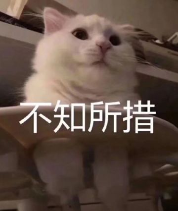 在犹豫还要不要继续更新排名榜