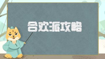 门派攻略丨合欢派超详细攻略分享，全方位解析如何打造一个合格的合欢