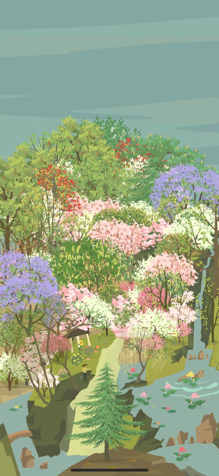 OMG 蓝花楹开花了 好美的蓝色!截图