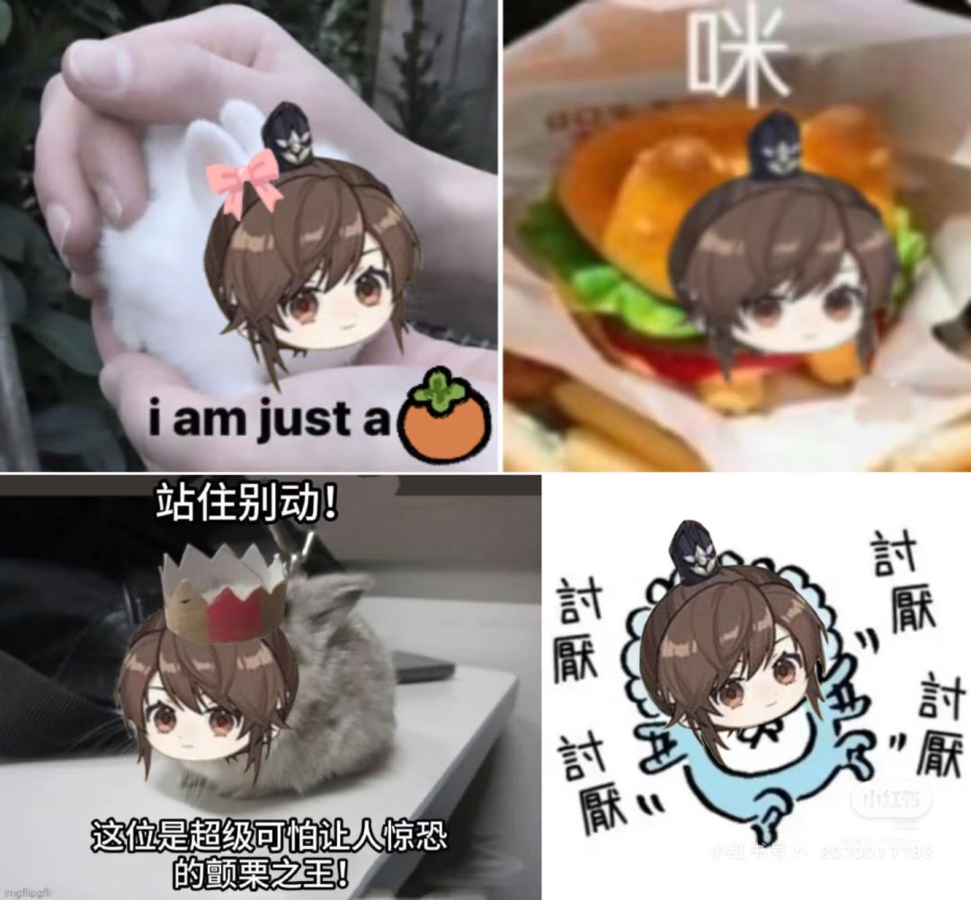 柿子堂堂来袭 1