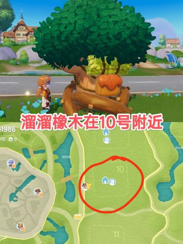 11月4日溜溜橡木、无暇萤石位置