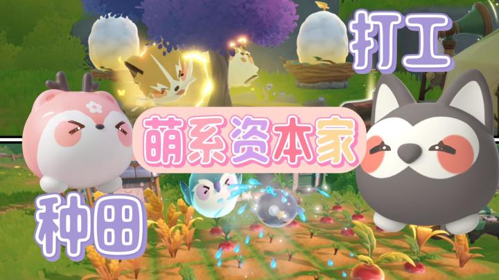 萌系资本家🎉一键安排米姆打工种田🎁公测福利多👉登录送卡皮豚截图