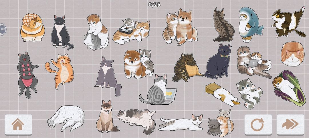 猫的完成展示图4 3