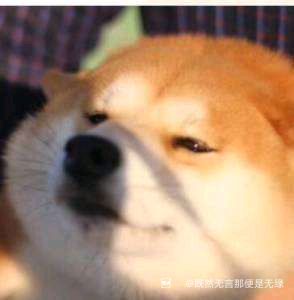 影之诗“超凡世界”6月17日正式上线!
抽奖10次必得卡包兑换券!有机会抽取Nintendo Switch2!
https://mf.163.com/s/l03pclf8截图