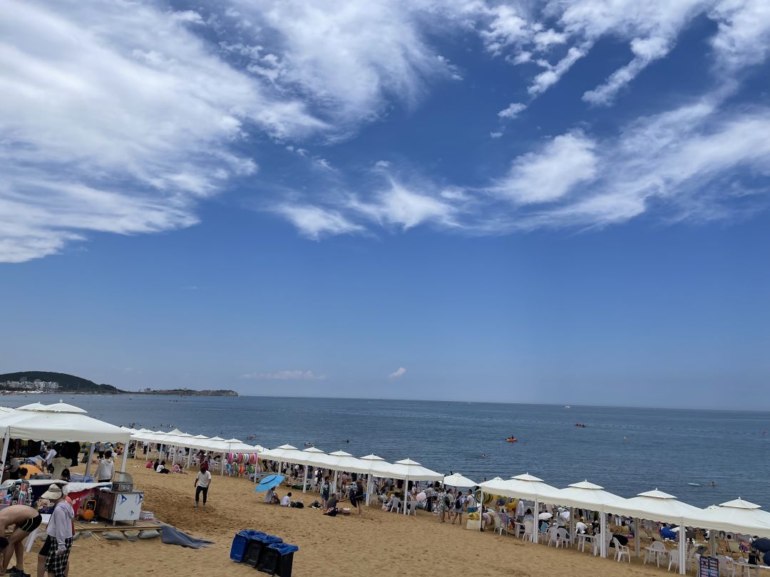 有大佬帮带下期庄园刷新积分么 1