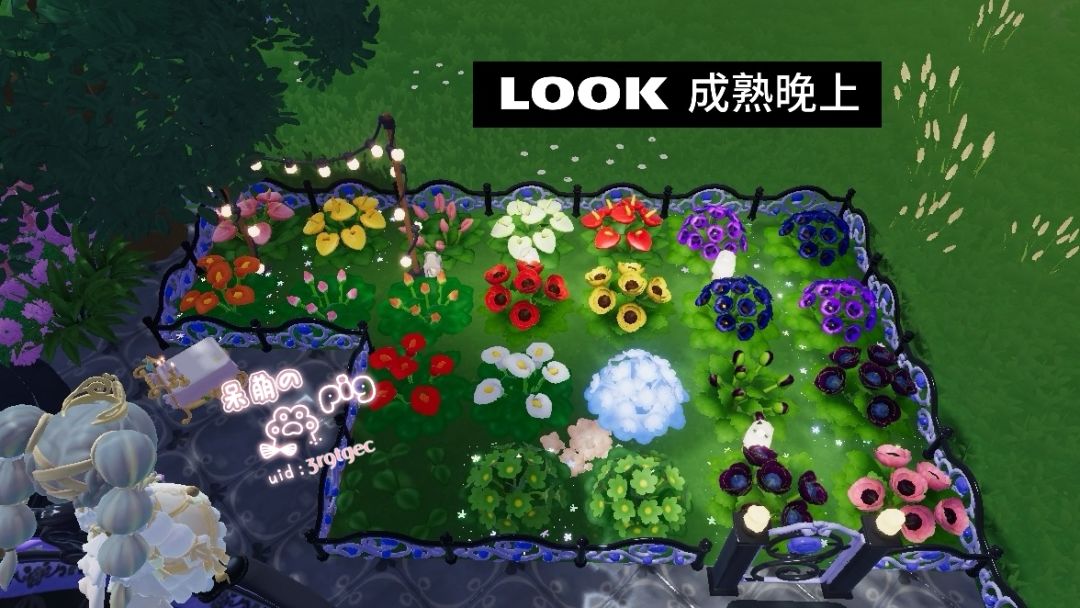 当你会杂交后你会发现…… 2