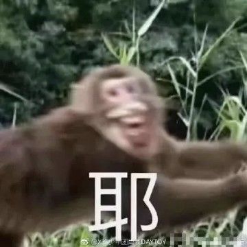 动态图片 3