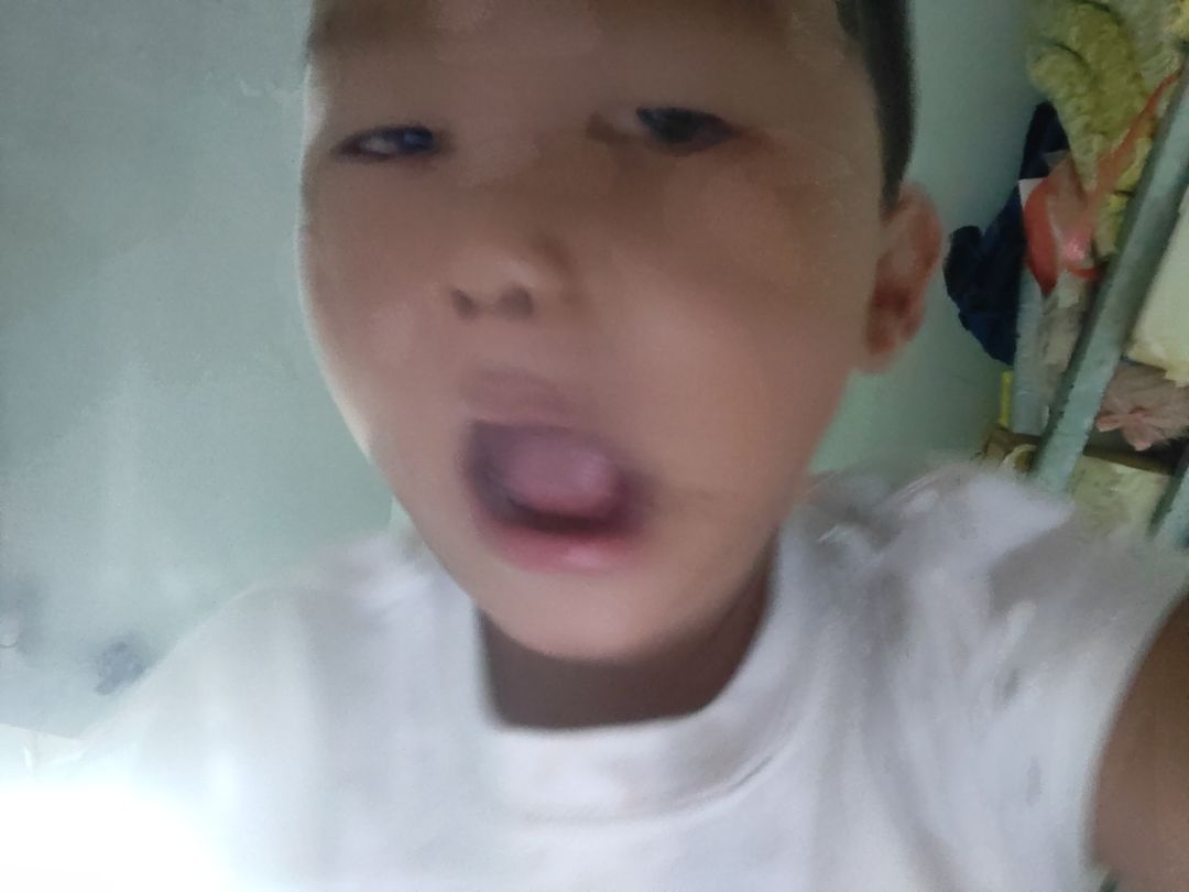 动态图片 7