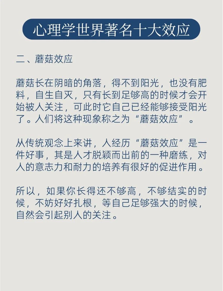 🌟青年大学习|心理学十大著名效应🌟 3