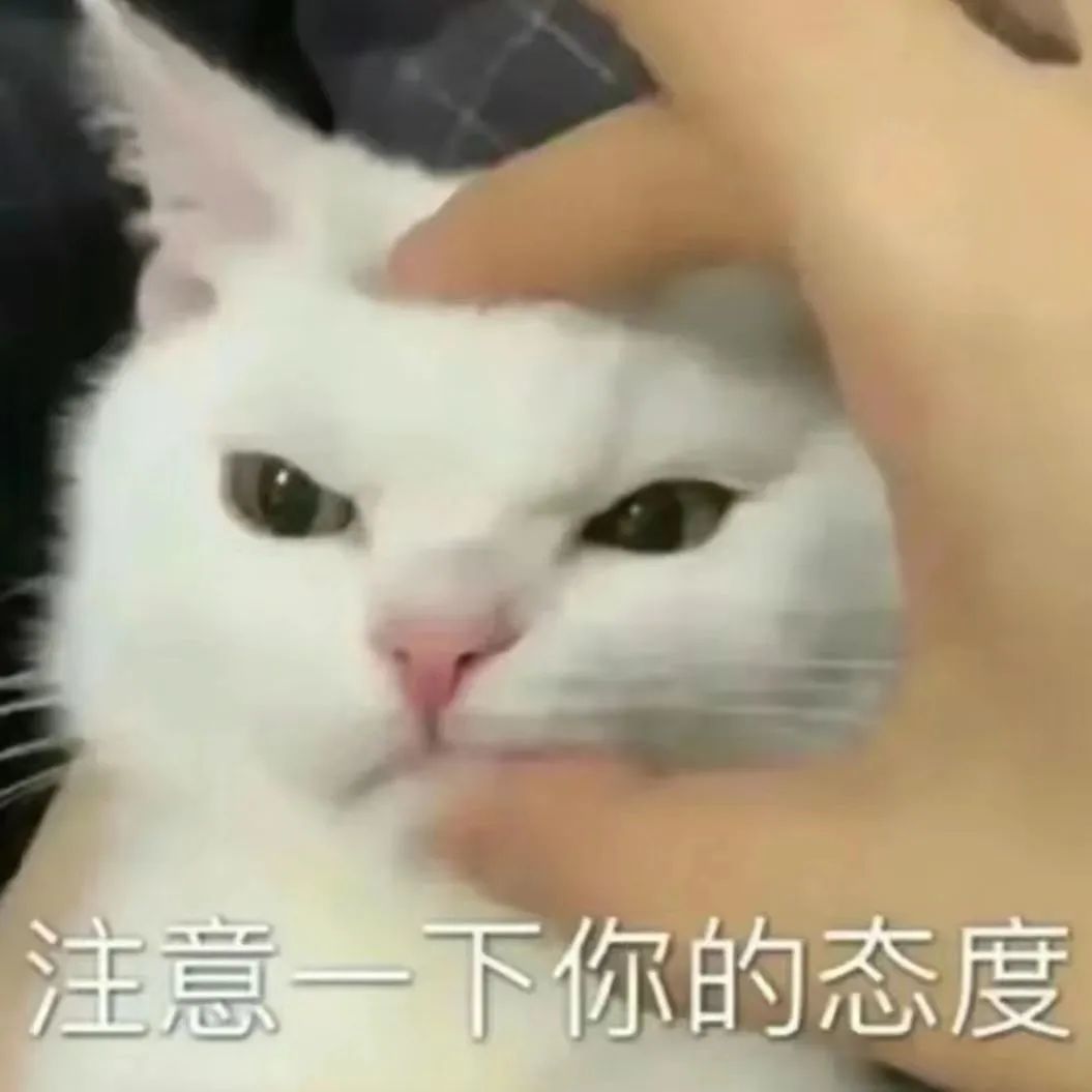 白夜极光0氪每个月保守能获得资源统计截图