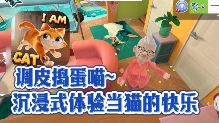 万万没想到❗当猫还能这么爽❗免费无广告沉浸式体验猫咪的日常生活截图